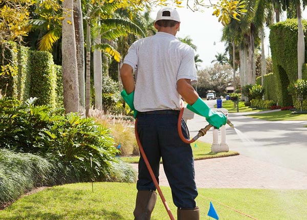 About Island Park ID Pest Control